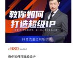 教你如何打造超级IP,抖音流量红利新机遇(价值980元)-网赚资源网