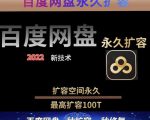 百度网盘无限扩容技术,外面卖399的,无论自己用还是用做引流都可以-网赚资源网
