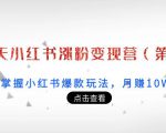 21天小红书涨粉变现营（第3期）：带你掌握小红书爆款玩法，月赚10W+秘密-网赚资源网