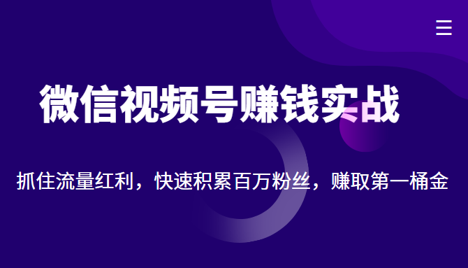 微信视频号赚钱实战：抓住流量红利，快速积累百万粉丝，赚取你的第一桶金 - 网赚资源网-网赚资源网