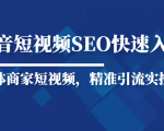 抖音短视频Seo搜索排名优化新手快速入门教程,实体商家短视频,精准引流实操课-网赚资源网