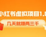 《小红书虚拟项目1.0》账号注册+养号+视频制作+引流+变现，几天就赚两三千-网赚资源网