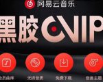 网易云音乐撸黑胶年卡及变现方法,收益可无限放大-网赚资源网