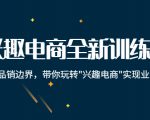 兴趣电商全新训练营：打破品销边界，带你玩转“兴趣电商“实现业务增长-网赚资源网