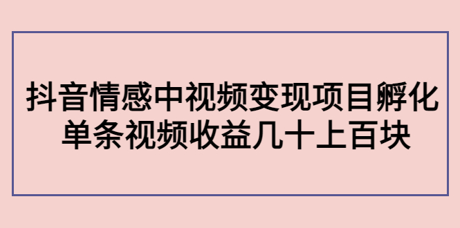副业孵化营第5期：抖音情感中视频变现项目孵化 单条视频收益几十上百 - 网赚资源网-网赚资源网