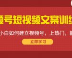 视频号短视频文案训练营:0基础小白如何建立视频号,上热门,能卖货!-网赚资源网