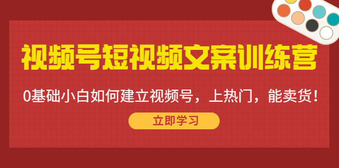 视频号短视频文案训练营：0基础小白如何建立视频号，上热门，能卖货！-网赚资源网