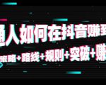 普通人如何在抖音赚到钱：策略 路线 规则 突破 赚钱（10节课）-网赚资源网