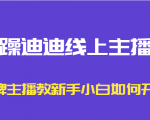 暴躁迪迪线上主播课,金牌主播教新手小白如何开播-网赚资源网