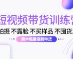 短视频带货训练营:不拍摄 不露脸 不买样品 不囤货发货 简单粗暴混剪带货(第三期)-网赚资源网