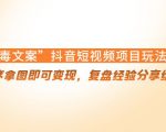 “毒文案”抖音短视频项目玩法，小程序拿图即可变现，复盘经验分享给大家-网赚资源网