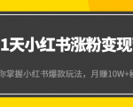 21天小红书涨粉变现营(第4期):带你掌握小红书爆款玩法,月赚10W+秘密-网赚资源网