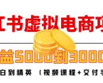 小红书虚拟电商项目:从小白到精英 月收益5000到30000 (视频课程+交付手册)-网赚资源网