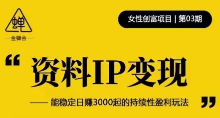 资料IP变现，能稳定日赚3000起的持续性盈利玩法 - 网赚资源网-网赚资源网