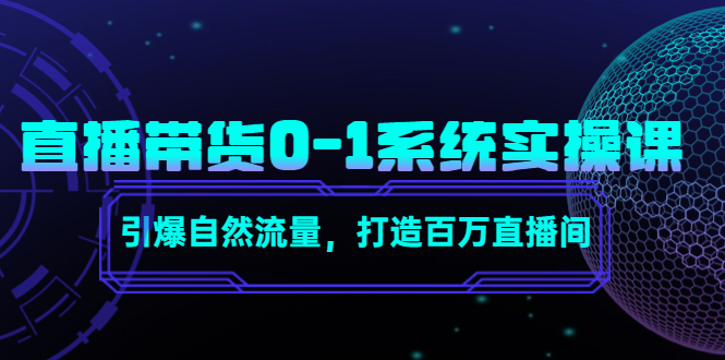 直播带货0-1系统实操课，引爆自然流量，打造百万直播间 - 网赚资源网-网赚资源网