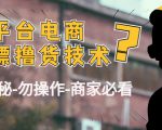 外面收费2980的全平台电商白嫖撸货技术（仅揭秘勿操作-商家防范必看）-网赚资源网