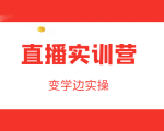 直播实训营,变学边实操,成为运营型主播,拉动直播间人气-网赚资源网