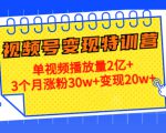 21天视频号变现特训营：单视频播放量2亿+3个月涨粉30w+变现20w+（第14期）-网赚资源网