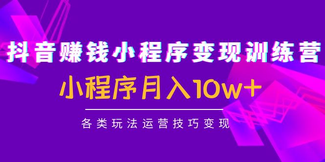 抖音赚钱小程序变现训练营：小程序月入10w+各类玩法运营技巧变现 - 网赚资源网-网赚资源网