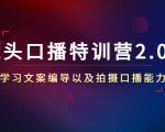 镜头口播特训营2.0版,学习文案编导以及拍摄口播能力(50节课时)-网赚资源网