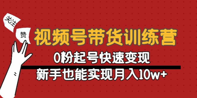 视频号带货训练营：0粉起号快速变现，新手也能实现月入10w+-网赚资源网