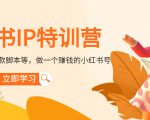 小红书IP特训营：从搭建-制作-爆款脚本等等，做一个赚钱的小红书号-网赚资源网
