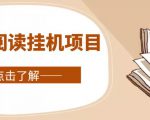 全自动阅读挂机项目，号称单窗10r，全套脚本+教程，小白上手简单-网赚资源网