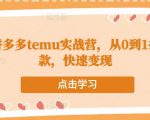 跨境拼多多temu实战营,从0到1打造爆款,快速变现-网赚资源网