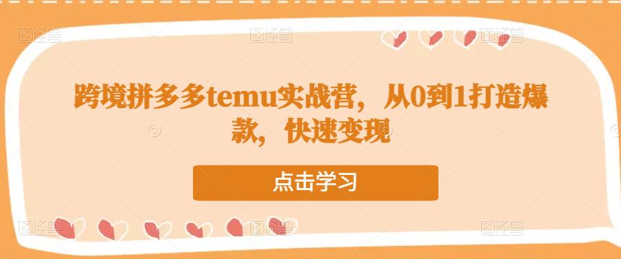 跨境拼多多temu实战营，从0到1打造爆款，快速变现 - 网赚资源网-网赚资源网