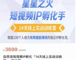 瑶瑶·自然流短视频IP孵化第二期,14天线上实战训练营,赋能100个人成为有数据能赚钱的独立IP孵化手-网赚资源网