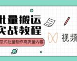 视频号批量搬运实战操作运营赚钱教程,傻瓜式批量制作高质量内容【附视频教程+PPT】-网赚资源网