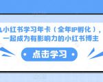 厦九九小红书学习年卡(全年IP孵化),沉浸式学习,一起成为有影响力的小红书博主-网赚资源网