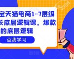 大圣淘宝天猫电商1-7层级盈利增长底层逻辑课，爆款的底层逻辑-网赚资源网