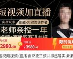张越·短视频+直播,自然流三频共振起号实操课,短视频所有流量玩法讲解-网赚资源网