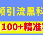 视频引流黑科技玩法，不花钱推广，视频播放量达到100万+，每日100+精准客源-网赚资源网