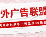 外面收费1980的最新国外LEAD广告联盟搬砖项目，单号一天至少30美金【详细玩法教程】-网赚资源网