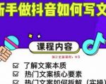 新手做抖音如何写文案,手把手实操如何拆解热门文案-网赚资源网