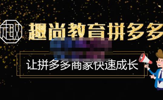 趣尚教育·拼多多运营实操VIP特训营，让拼多多商家快速成长-价值3180元 - 网赚资源网-网赚资源网