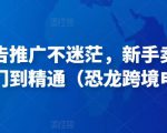 亚马逊广告推广不迷茫,新手卖家产品运营入门到精通(恐龙跨境电商)-网赚资源网