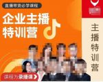 曾仕涵·企业主播特训营，每个老板都应该会直播带货，每家企业都应该有主播团队-网赚资源网