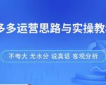 拼多多店铺运营思路与实操教程，快速学会拼多多开店和运营，少踩坑，多盈利-网赚资源网