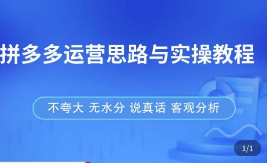 拼多多店铺运营思路与实操教程，快速学会拼多多开店和运营，少踩坑，多盈利 - 网赚资源网-网赚资源网