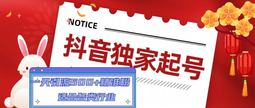 抖音独家起号，一天引流500+精准粉，适合各类行业（9节视频课） - 网赚资源网-网赚资源网