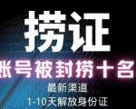 2023年最新抖音八大技术,一证多实名,秒注销,断抖破投流,永久捞证,钱包注销,跳人脸识别,蓝V多实-网赚资源网
