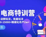 美团电商特训营：美团·店群玩法，无脑铺货月产出6000-15000+精细化月产2w+-网赚资源网