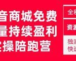 抖音商城搜索持续盈利陪跑成长营,抖音商城搜索从0-1、从1到10的全面解决方案-网赚资源网