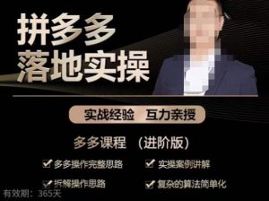 拼多多实战篇·落地实操：多多操作完整思路+实操案例讲解+拆解操作思路+复杂的算法简单化-网赚资源网