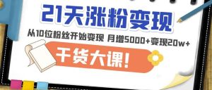 21天精准涨粉变现干货大课:从10位粉丝开始变现月增5000+变现20w+-网赚资源网