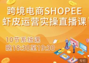 跨境电商Shopee虾皮运营实操直播课，从零开始学，入门到精通（10节系统课）-网赚资源网