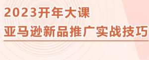 2023亚马逊新品推广实战技巧，线下百万美金课程的精简版，简单粗暴可复制，实操性强的推广手段-网赚资源网